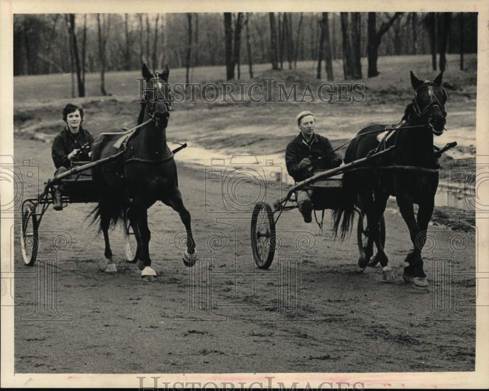 1972 Press Photo Drivers exercise harness horses at farm in Colonie, New York- Historic Images