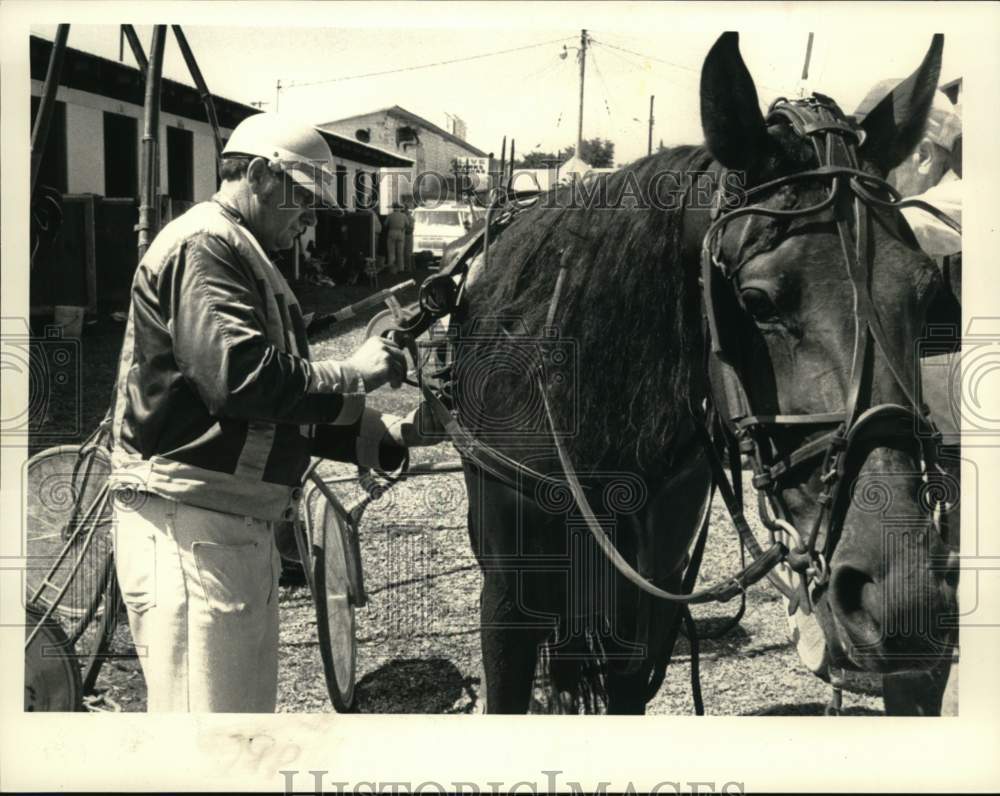 1983 Press Photo Jim Williard rigs horse for harness race in Altamont, New York- Historic Images