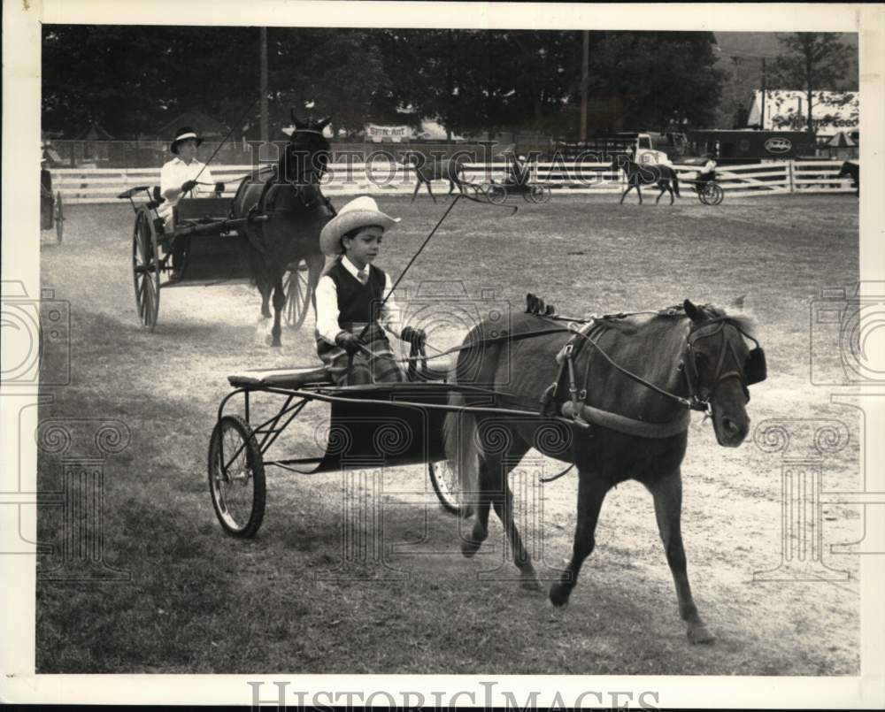 1980 Press Photo 6-year-old competes in harness race at Altamont Fair, New York- Historic Images