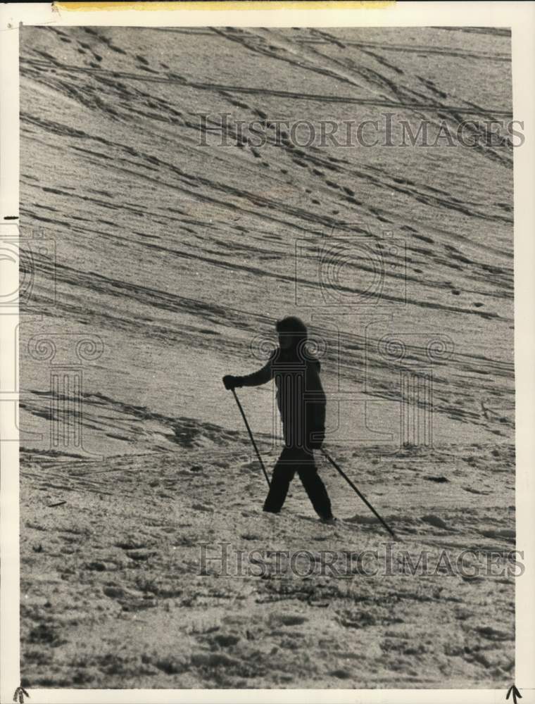 1985 Press Photo Cross-country skier navigates golf course in Albany, New York- Historic Images