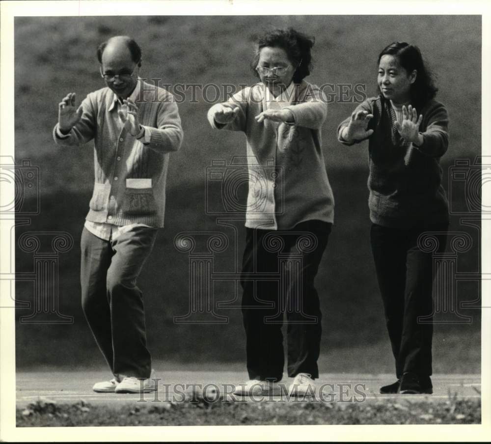 1990 Press Photo Trio practices Tai Chi in Lincoln Park, Albany, New York- Historic Images