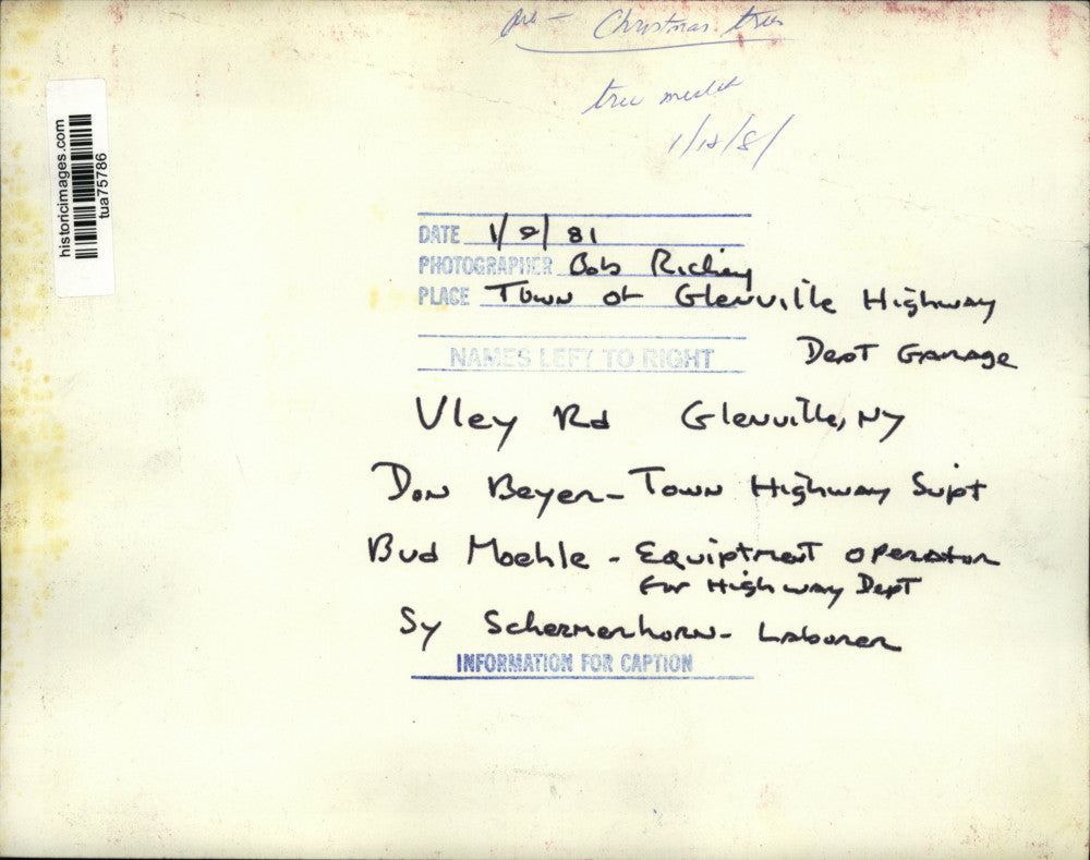 1981 Press Photo City workers mulches Christmas trees in Glenville, New York