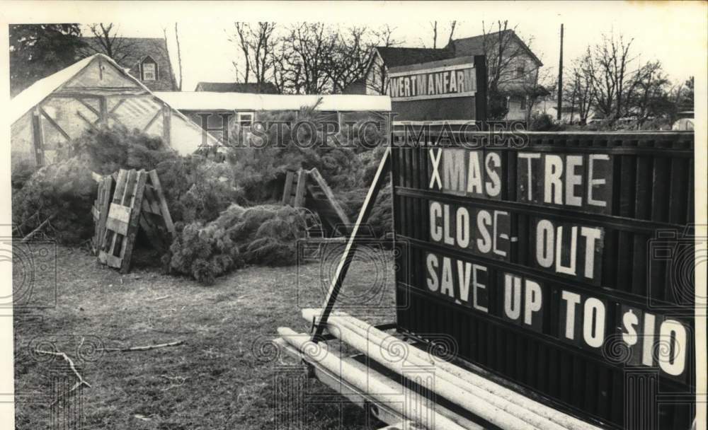 1982 Press Photo Sale sign at Christmas tree lot in Albany, New York - tua75792- Historic Images