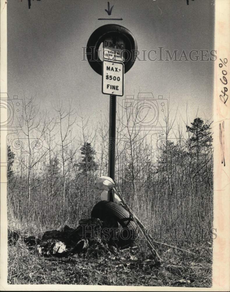 Load image into Gallery viewer, 1971 Press Photo Pile of trash under no dumping sign in Colonie, New York
