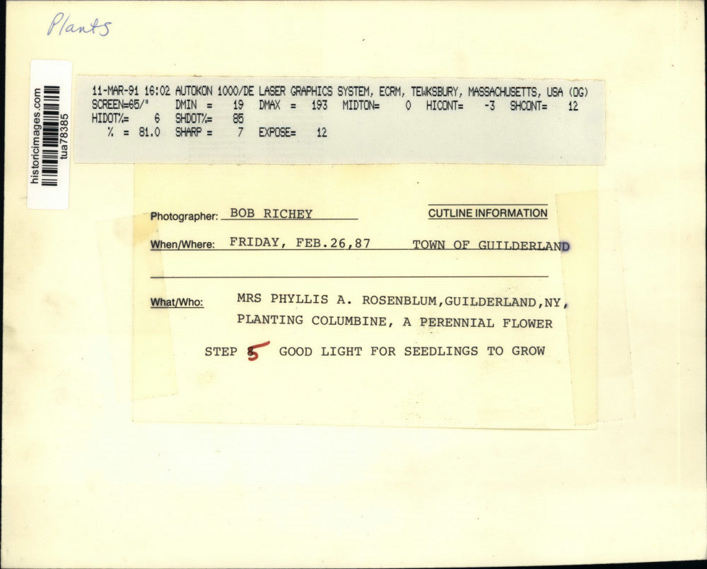 1987 Press Photo Phyllis Rosenblum with flower planters in Guilderland, New York