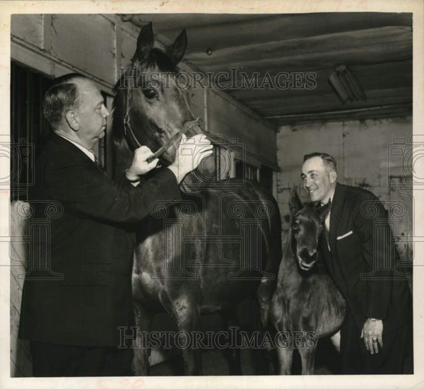 1957 Press Photo George Monaghan & Charles Russo with race horses in ...