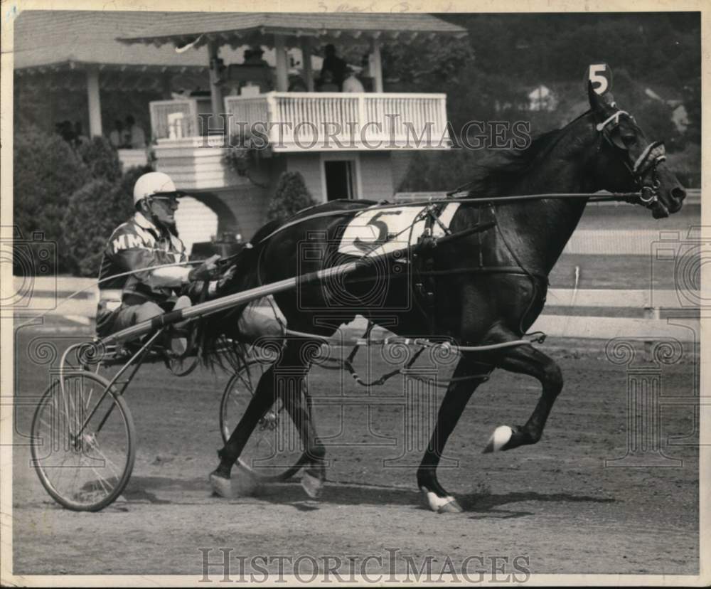 1964 Press Photo Jockey drives harness racer Adoras Dream in Saratoga, New York- Historic Images