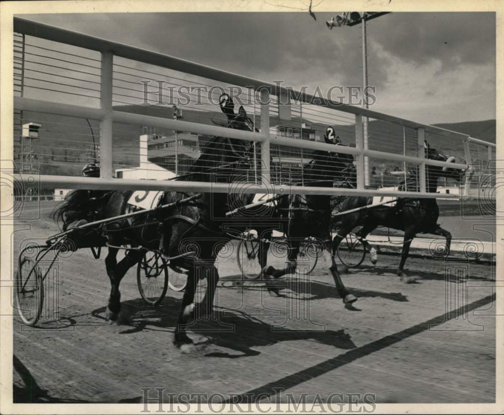 1965 Press Photo Harness racers trot behind starting gate in Saratoga, New York- Historic Images