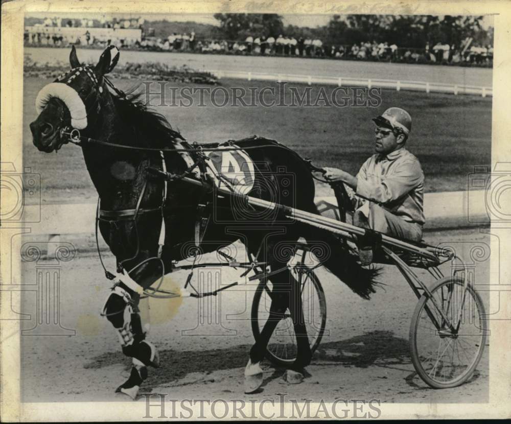 Press Photo Gee Lee Hanover drives harness horse Sonny Dancer in New York- Historic Images