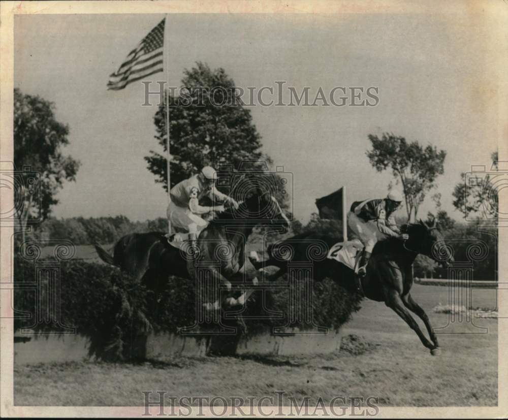 1966 Press Photo Steeplechase horses leap obstacle during race in New York- Historic Images