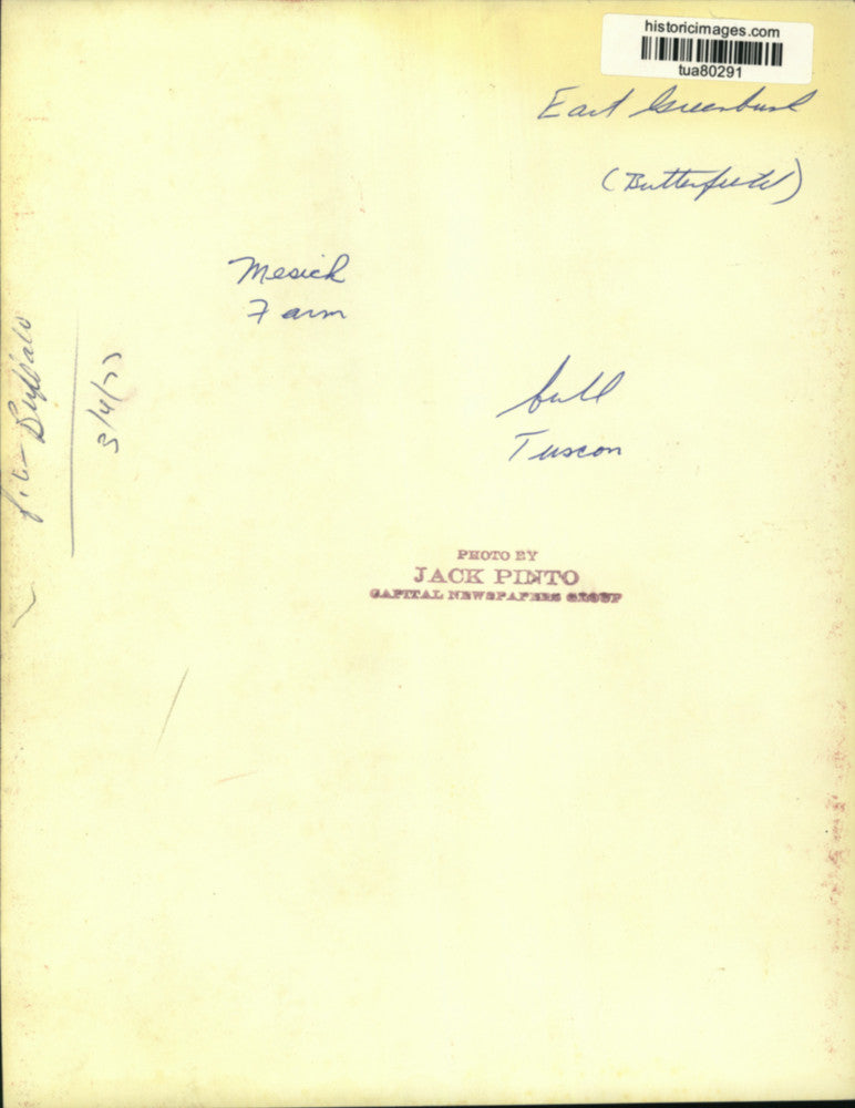 1977 Press Photo Crew prepares to load bison into back of truck on New York farm