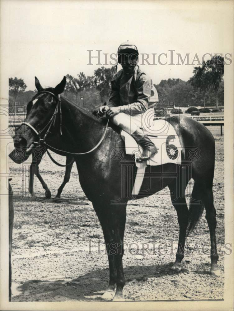 1967 Press Photo Filly Dream Path at Saratoga Raceway, New York - tua80551- Historic Images
