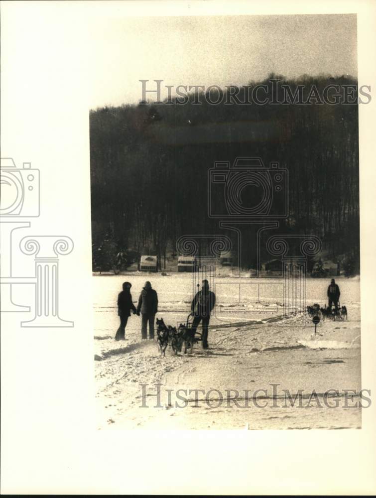 1984 Press Photo Dog sled racing on Caroga Lake - tub02950- Historic Images