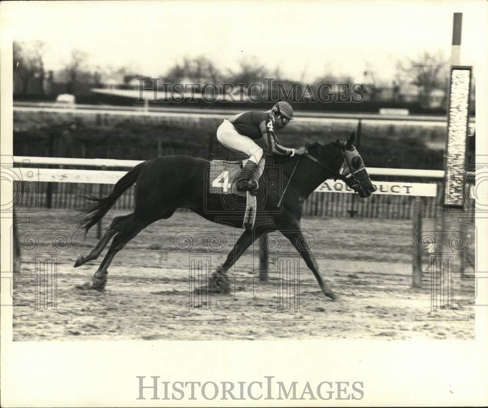 1981 Press Photo Jockey rides horse across finish line at Aqueduct in New York- Historic Images