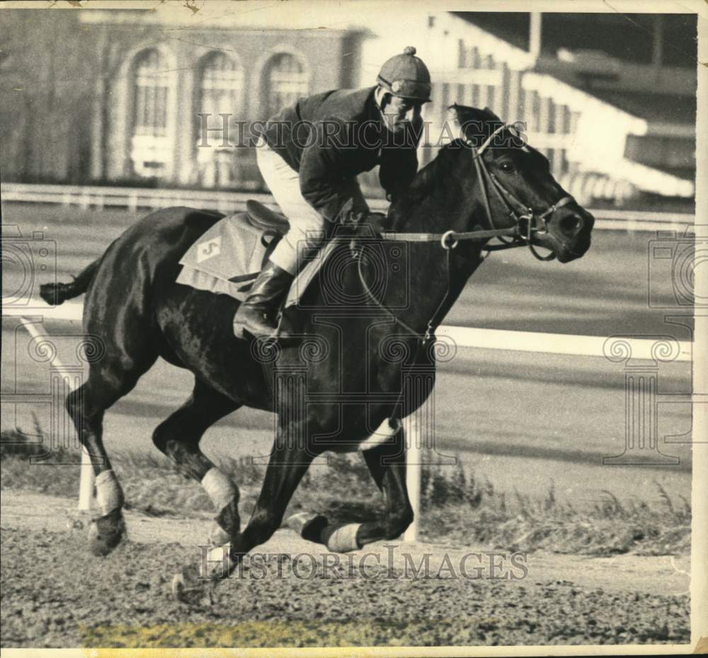 1970 Press Photo A racehorse and rider in action - tub03479- Historic Images