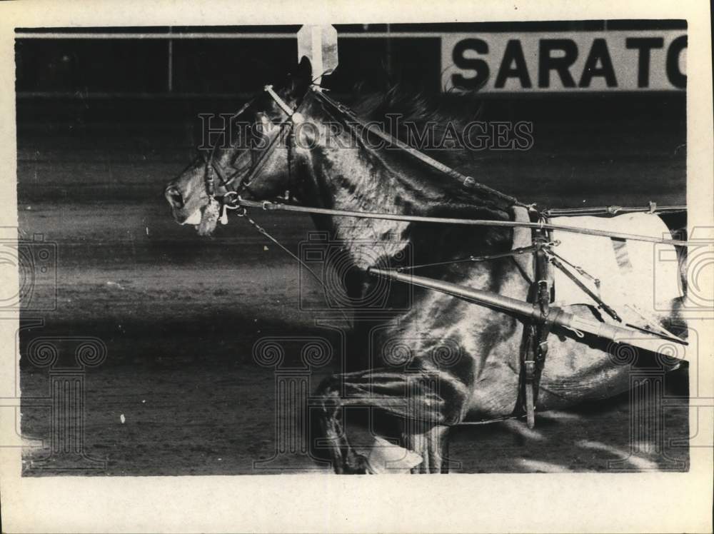 1968 Press Photo Racehorse Speedy Man runs at Saratoga Raceway in New York- Historic Images