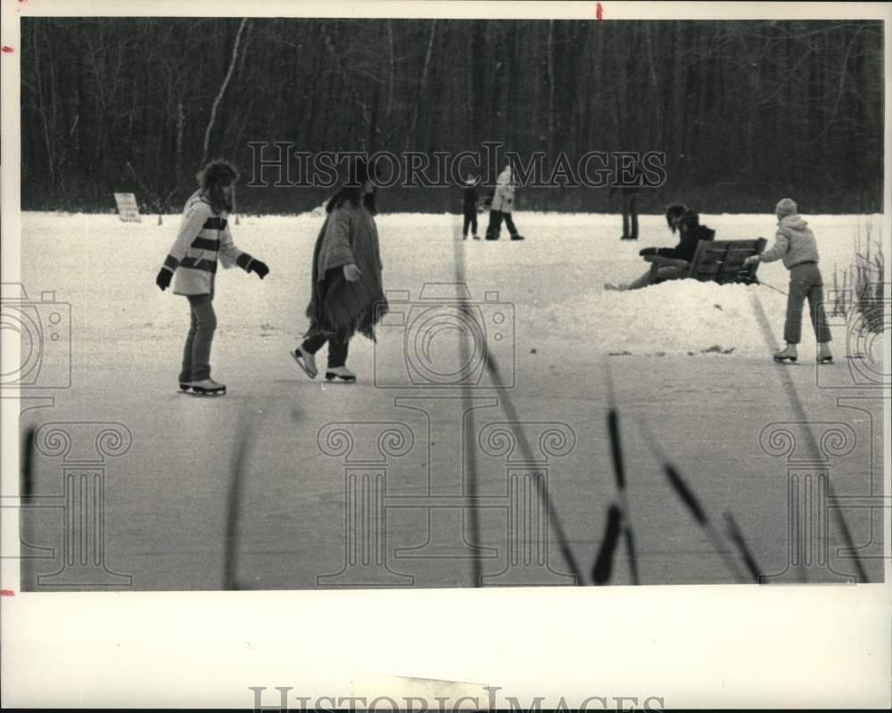 1985 Press Photo Ice skaters at Ann Lee Pond - tub08360- Historic Images