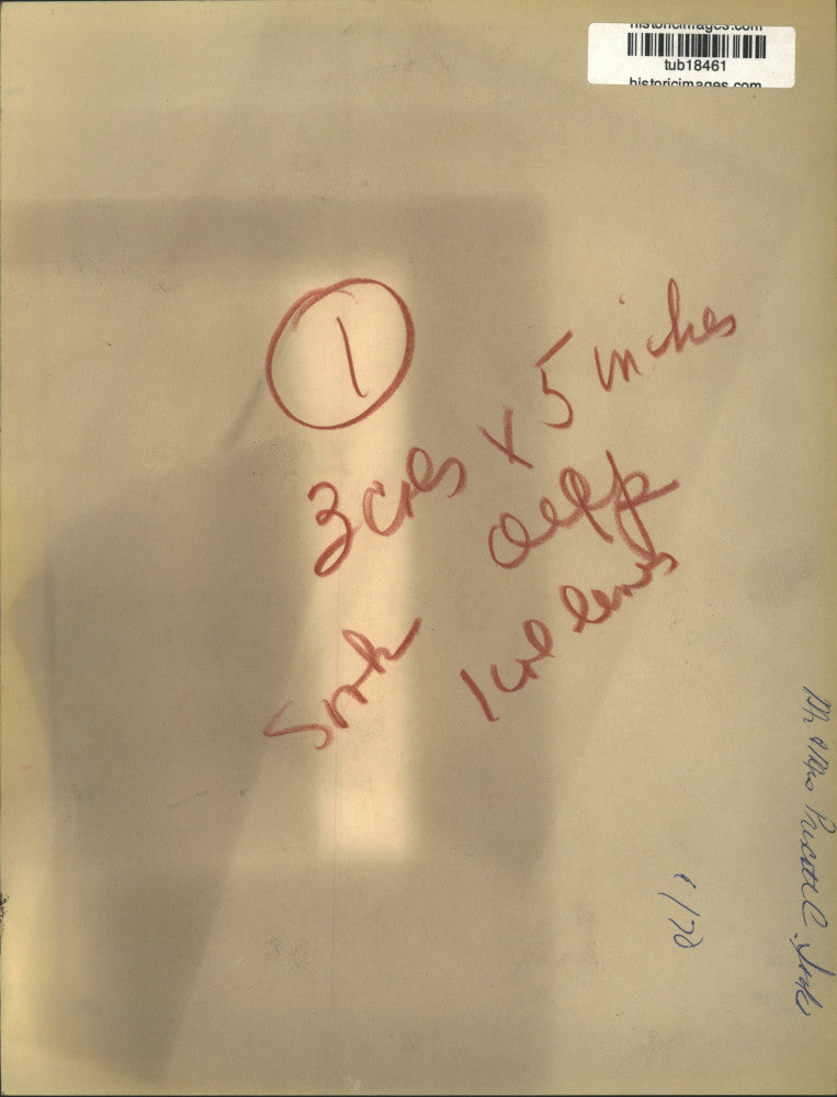 1970 Press Photo Mr. and Mrs. Prescott C. Sook on a stairwell - tub18461