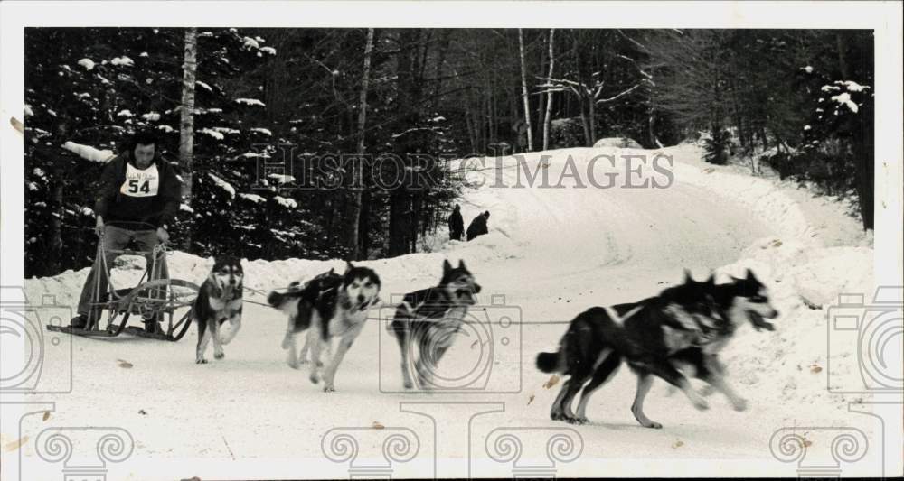 1978 Press Photo Dog Sledding at Saranac Lake, New York - tub19454- Historic Images
