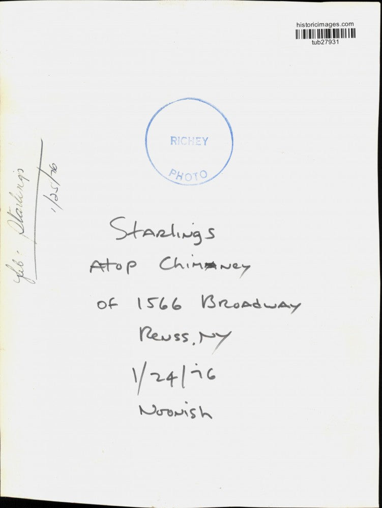 1976 Press Photo Starlings on Chimney of 1566 Broadway, Rensselaer, New York