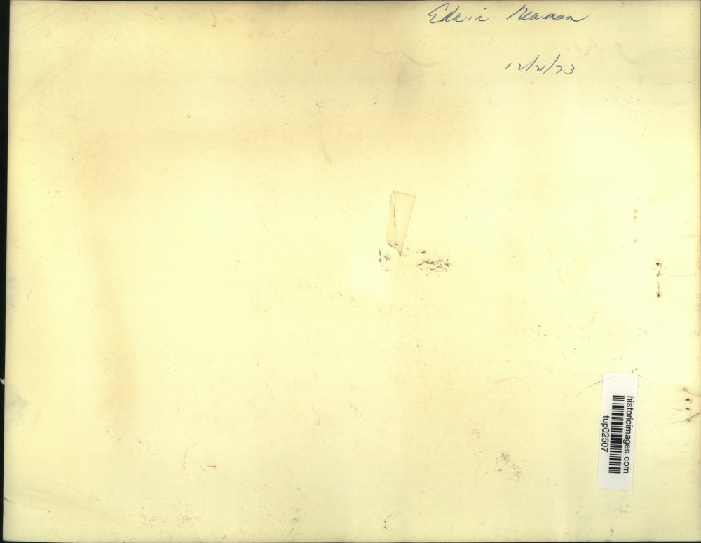 1973 Press Photo Newscaster Edwin Newman - tup02507