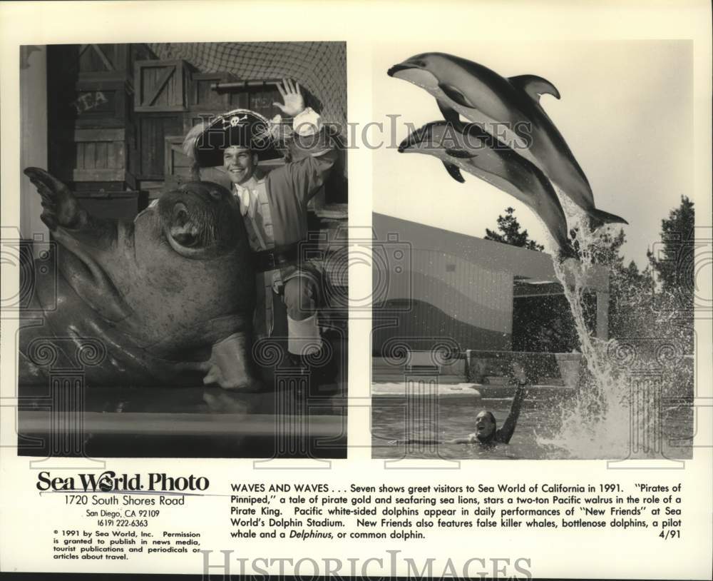 1991 Press Photo Scenes from shows at Sea World in San Diego, California- Historic Images