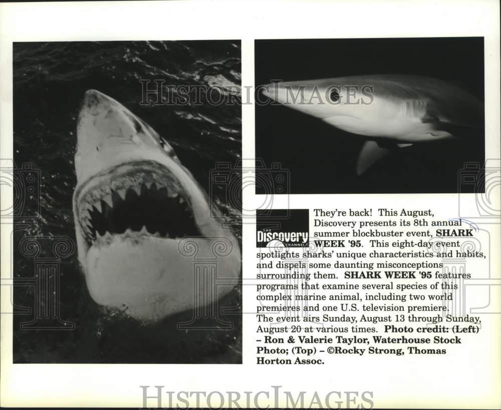1995 Press Photo Scenes from Shark Week '95 episodes on Discovery Channel- Historic Images