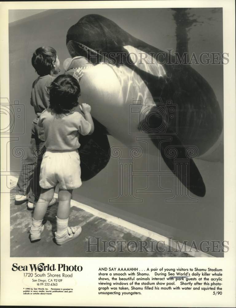 1992 Press Photo Children interact with killer whale at Sea World of California- Historic Images