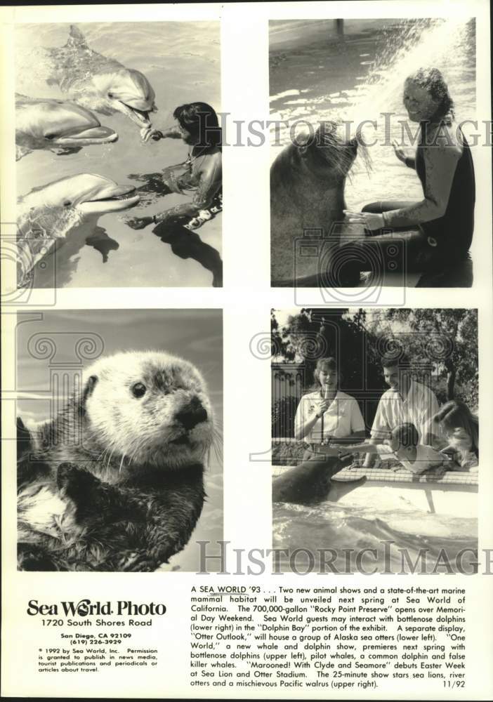 1992 Press Photo Scenes of trainers and animals at Sea World of California- Historic Images