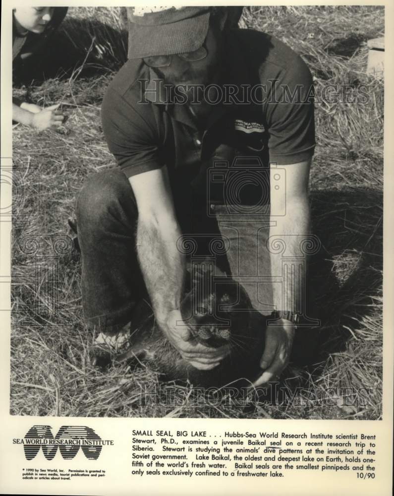 1990 Press Photo Brent Stewart examines Baikal seal pup in Siberia, Russia- Historic Images