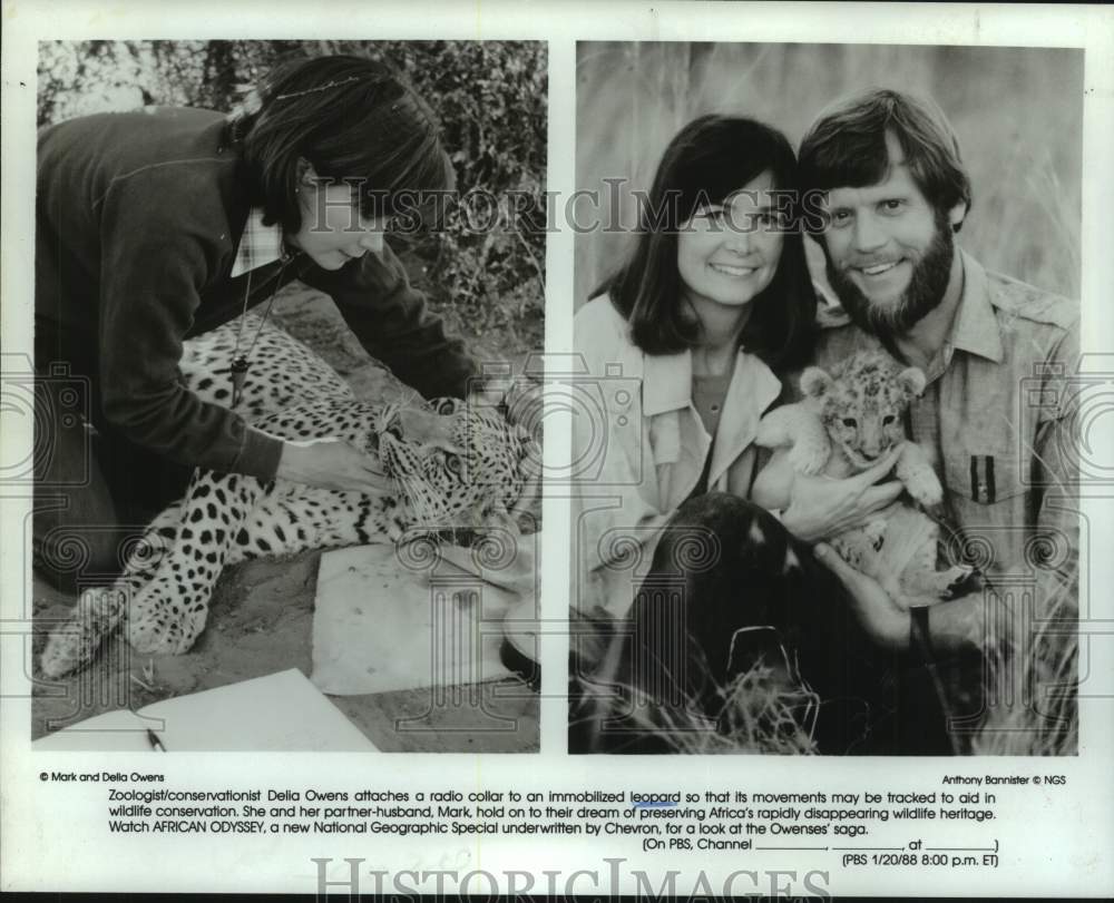 1988 Press Photo Zoologists work to preserve African wildlife on African Odyssey- Historic Images