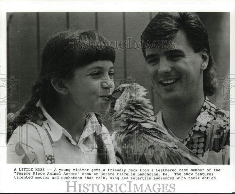 Load image into Gallery viewer, 1989 Press Photo Visitor and trainer with bird at Sesame Place in Pennsylvania

