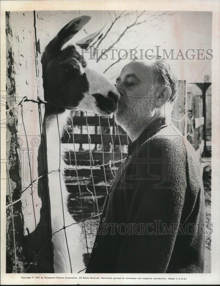 1967 Press Photo Entertainer Ivan Tors with a Llama - tup26647- Historic Images