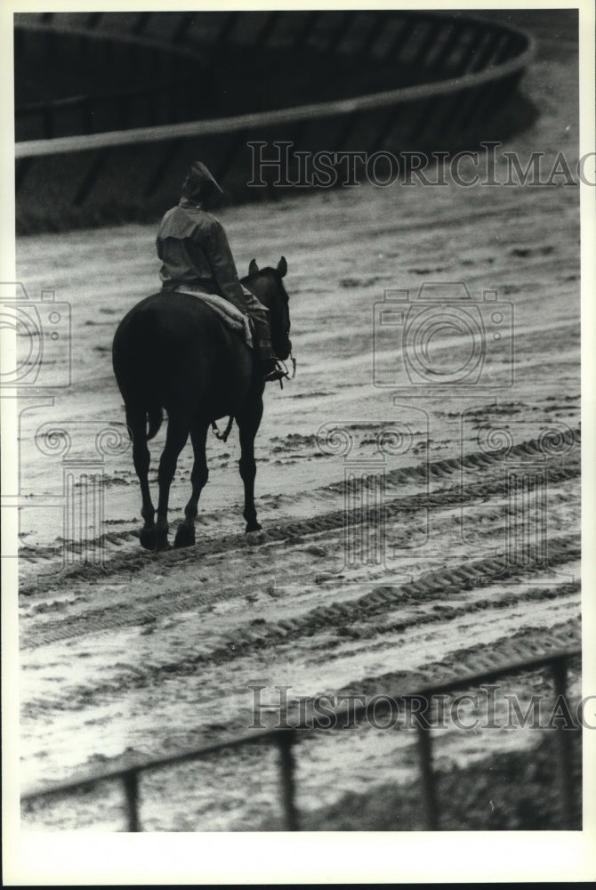 1980 Press Photo Person in raincoat atop a race horse on muddy track, Saratoga- Historic Images