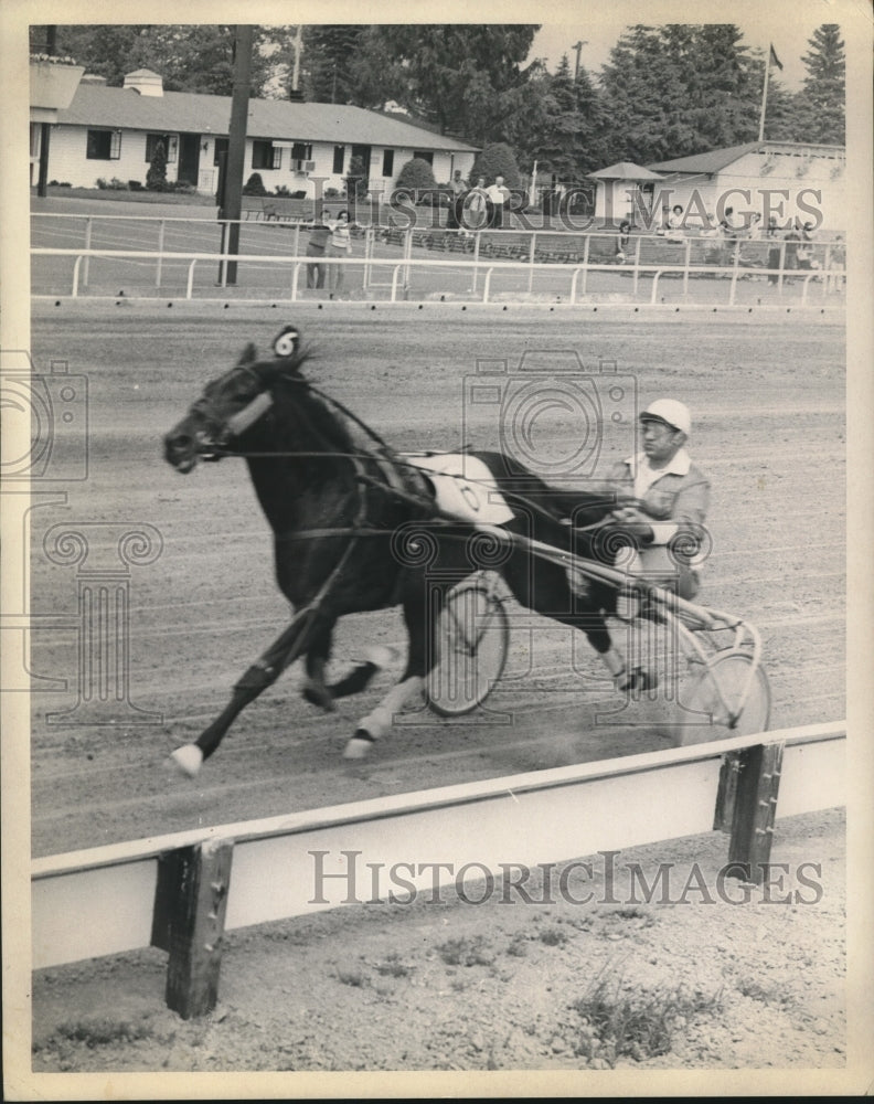 Press Photo Harness race horse MJ Amos with jockey Andy Norarian racing Saratoga- Historic Images