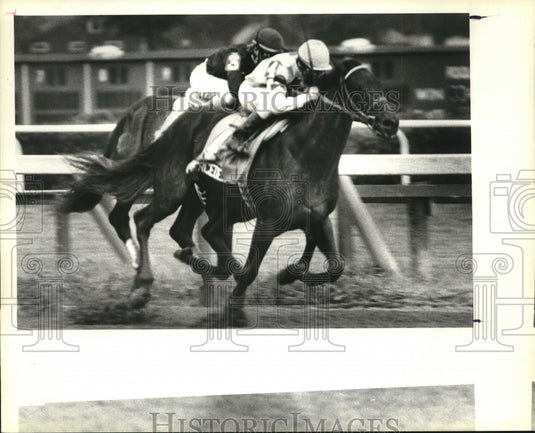 1988 Press Photo