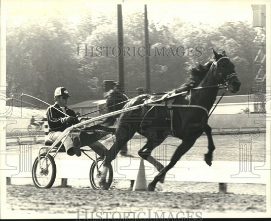 1981 Press Photo Carl Allen sends MoBandy through final preparation for race- Historic Images