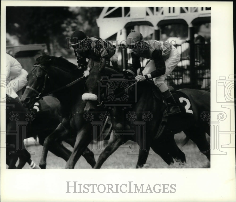 1987 Press Photo Horses leave the gate during race at Saratoga Raceway, New York- Historic Images