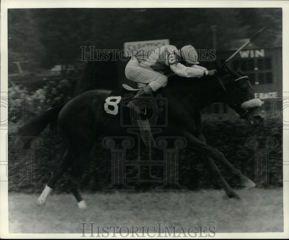 1986 Press Photo #8 Allumeuse during the 2nd race at Saratoga Race Course, NY- Historic Images