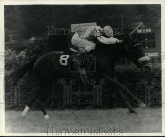 1986 Press Photo