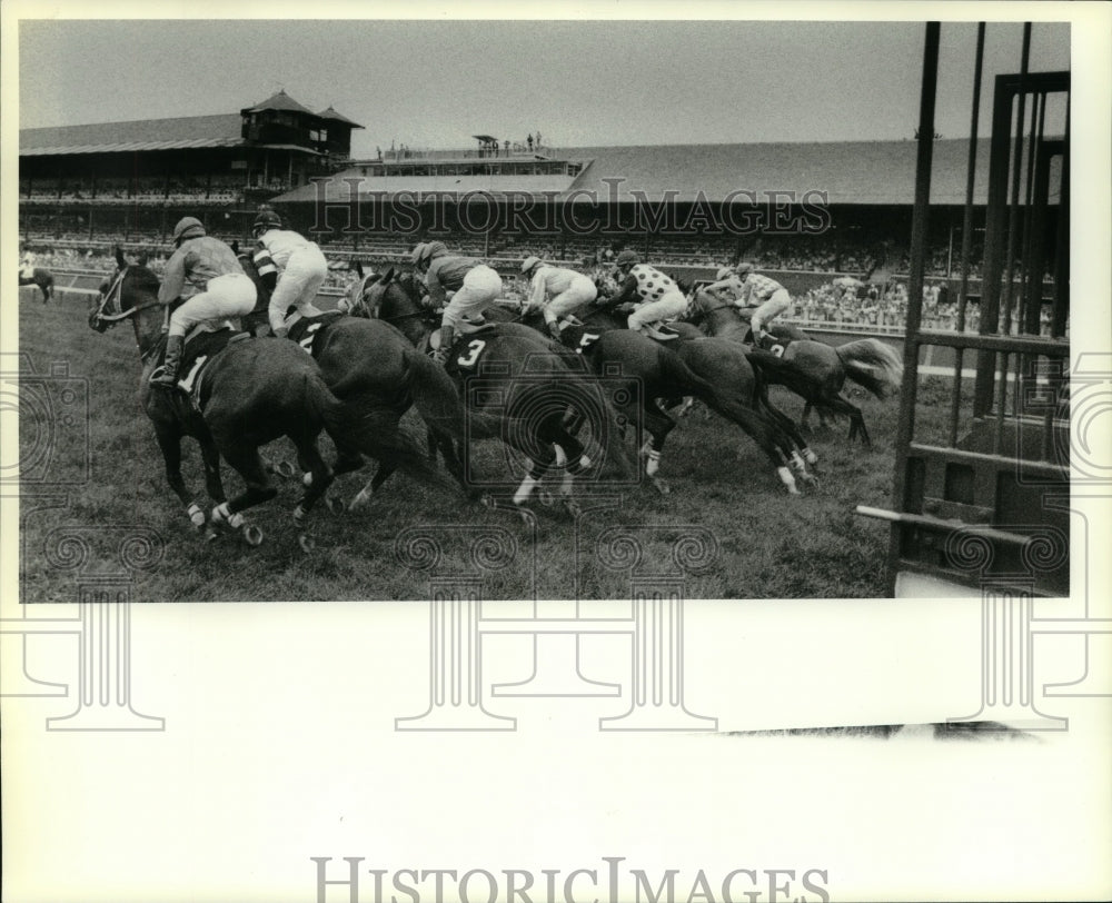 1980 Press Photo Horses leave the gate during race at Saratoga Raceway, New York- Historic Images