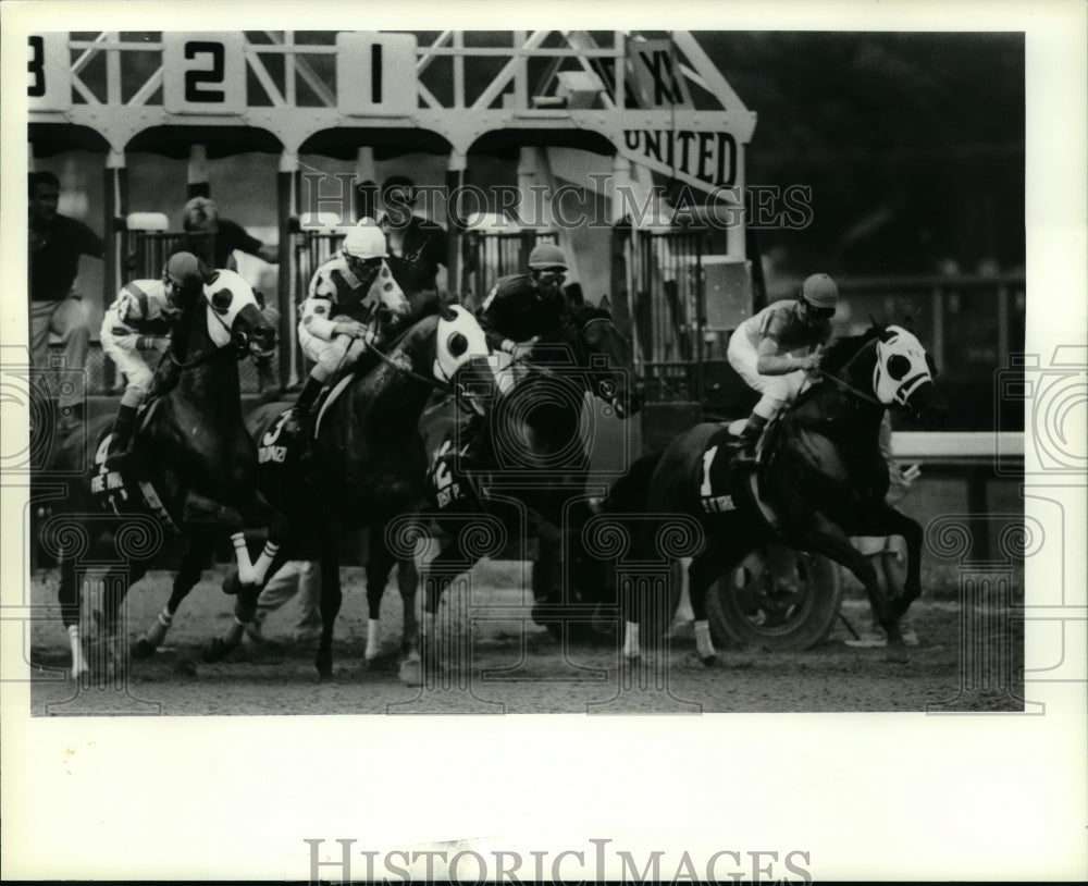 1980 Press Photo Horses leave the starting gate at Saratoga Flats in New York- Historic Images