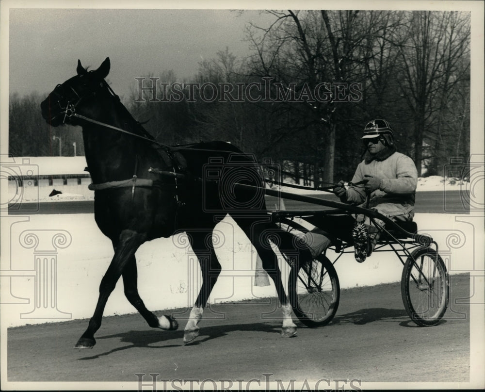 Press Photo Trainer Kim Crawford puts Move Freely through a workout at Saratoga- Historic Images