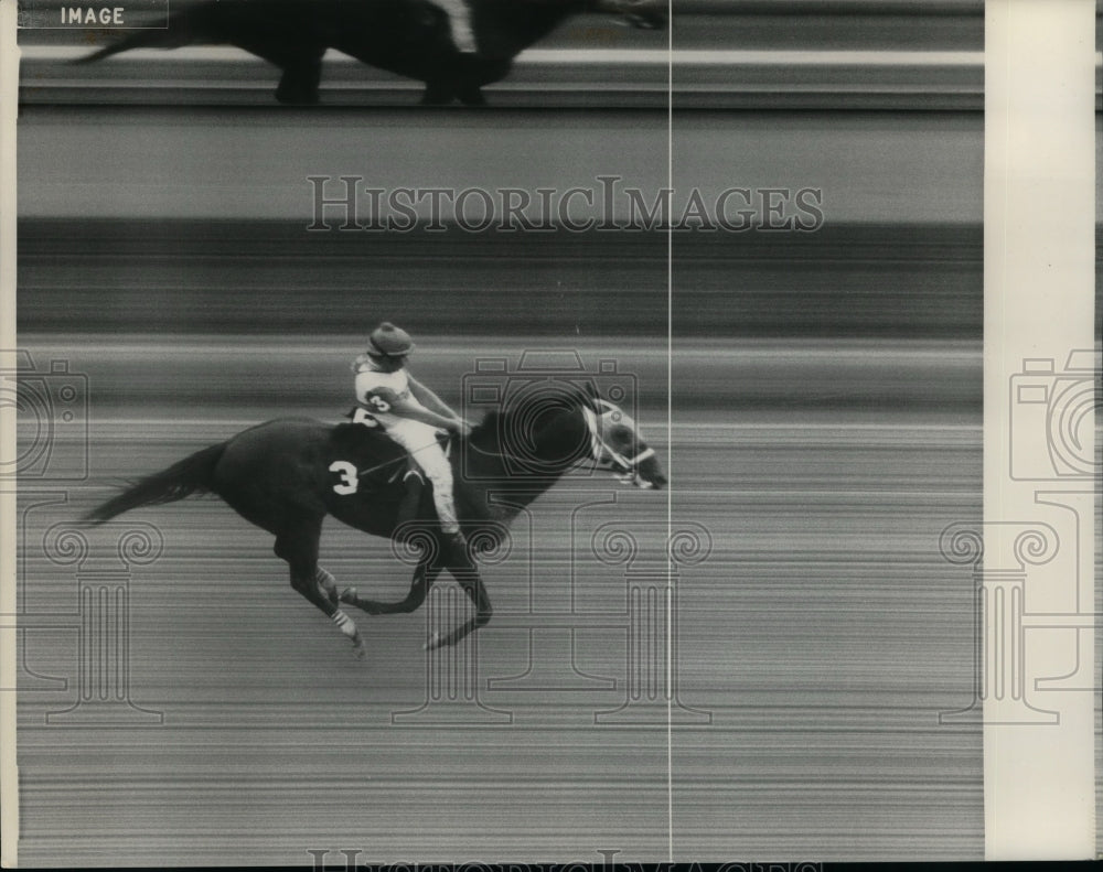 Press Photo Jockey and horse race down the stretch at Saratoga Raceway, New York- Historic Images