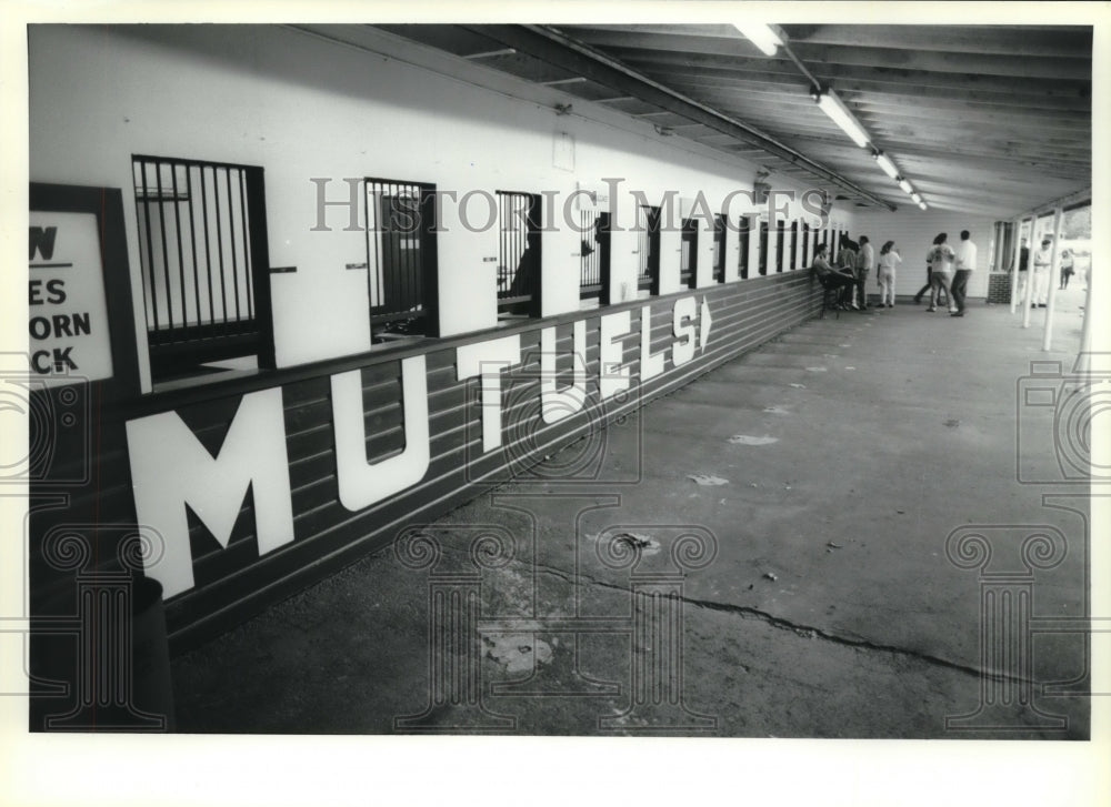 1980 Press Photo Betting windows at Saratoga Raceway in New York - tus01034- Historic Images