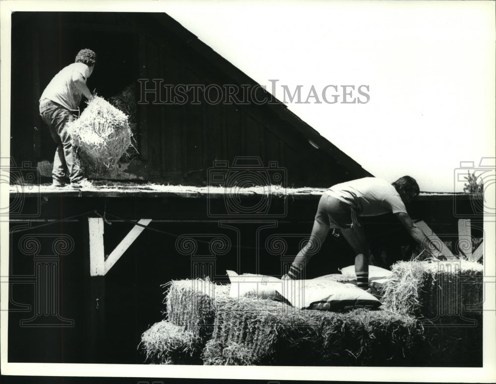 1990 Press Photo Workers unload hay into stables at Saratoga Raceway, New York- Historic Images