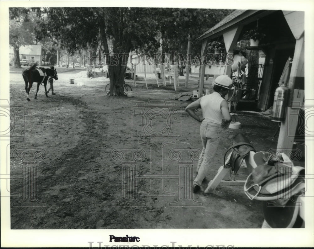 Press Photo Backstretch area at Saratoga Raceway, New York - tus01064- Historic Images