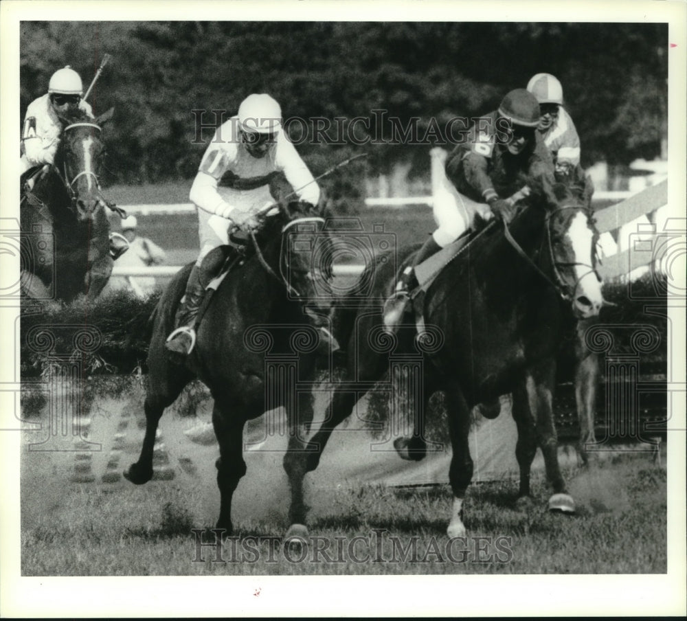 1980 Press Photo Horses race in Steeplechase race in Saratoga, New York- Historic Images
