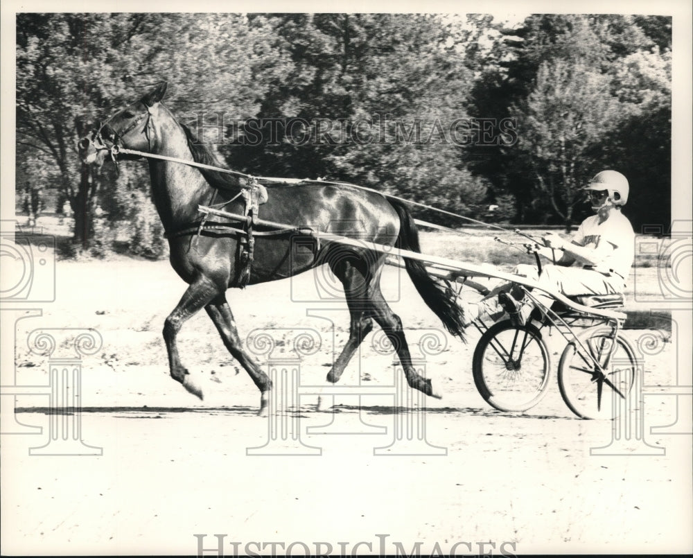 1988 Press Photo Temma Harbour runs in harness race, Saratoga Raceway, New York- Historic Images