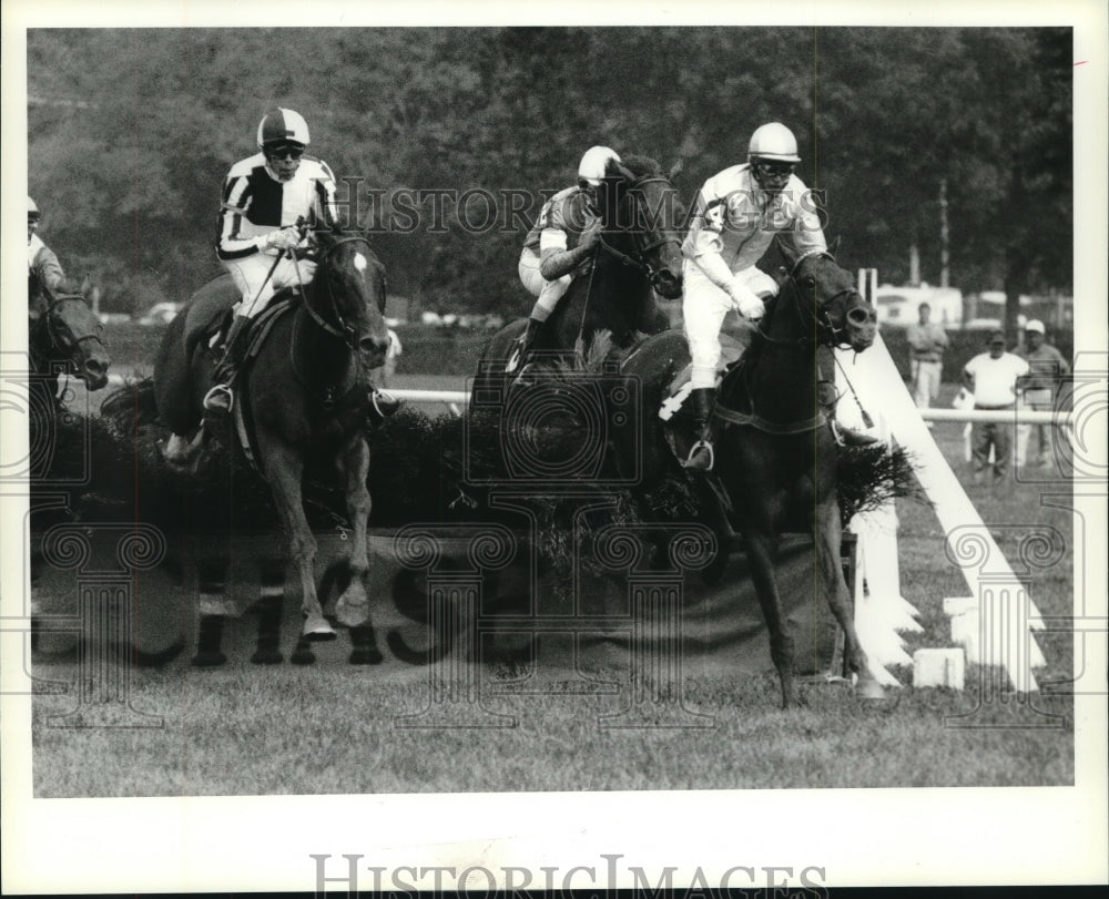 1990 Press Photo Horses compete in steeplechase at Saratoga Raceway, New York- Historic Images